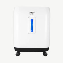 H-02 Home 2-10L Adjustable Continuous Flow Oxygen Concentrator, CE-Approved