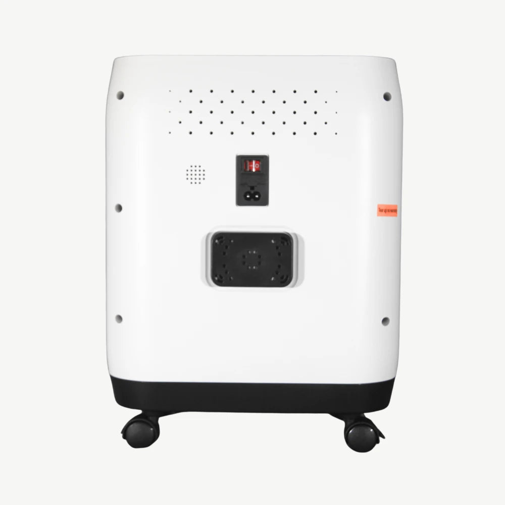 H-02 Home 2-10L Adjustable Continuous Flow Oxygen Concentrator, CE-Approved